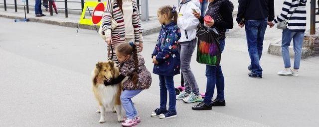 Улицу Ленина в Новосибирске сделают пешеходной на время зимних каникул