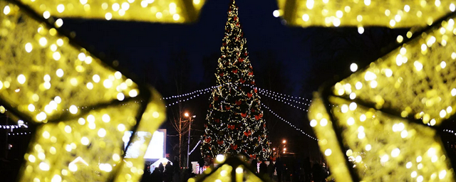 Власти Хабаровского края изменили решение о рабочем дне 31 декабря