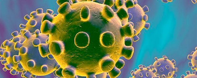 В Удмуртии за сутки выявили 117 случаев коронавируса