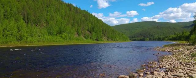 В Забайкалье четыре человека погибли, спасая тонущую девочку