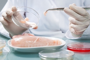 В Москве в магазинах сети «Пятерочка» в продукции «Петелинки» нашли сальмонеллу