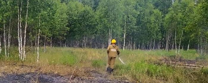 В Парфеньевском округе локализовали лесной пожар