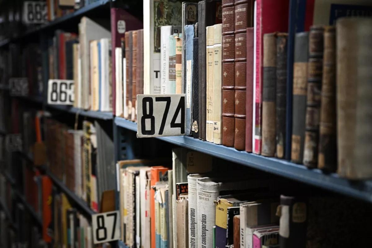 Волгоградская область вошла в топ-20 самых читающих регионов России благодаря проекту «Книжная одиссея»