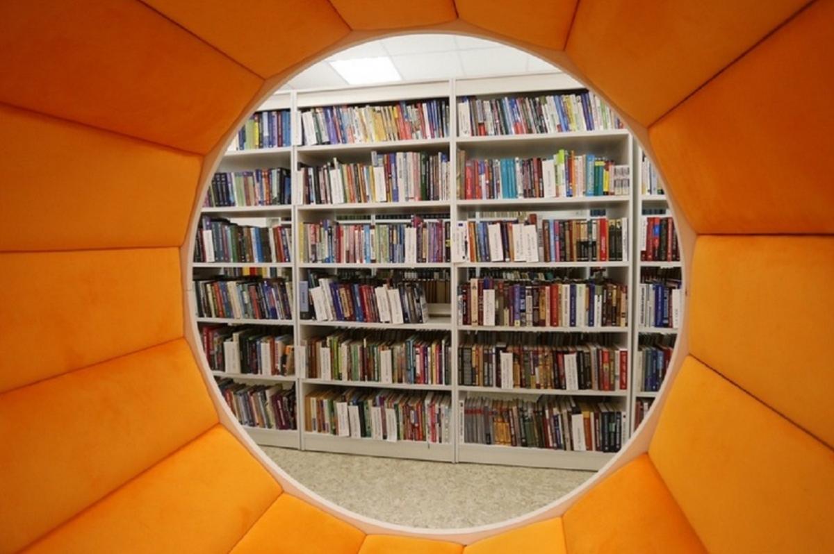 Количество читателей библиотек в Мордовии превысило 400000 человек