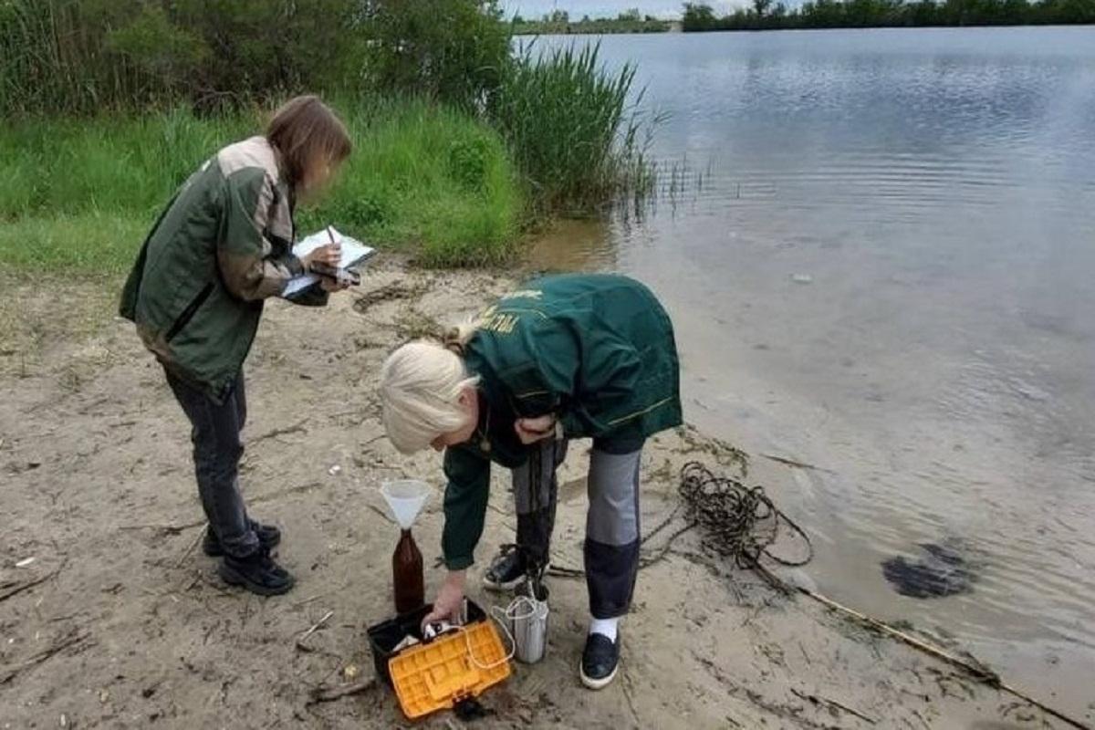 В акватории Волги под Волгоградом нашли пятно мазута
