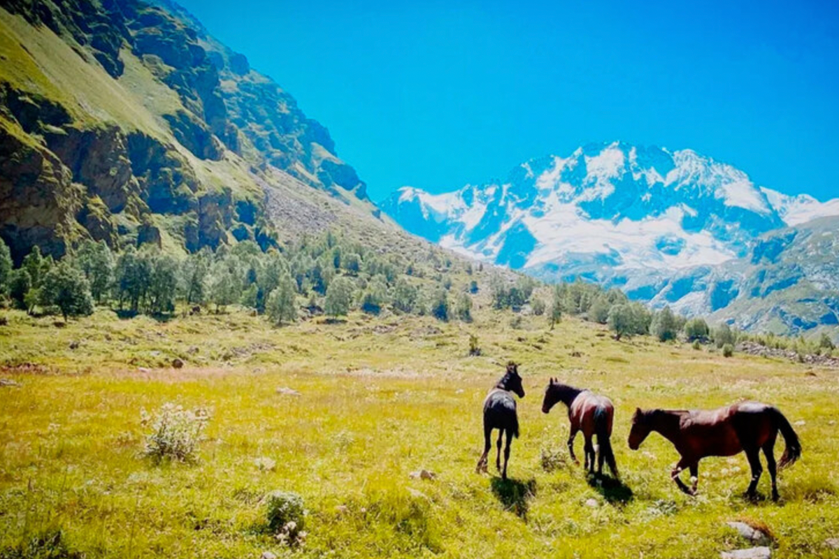 Северный Кавказ: Заметный рост популярности сельского туризма