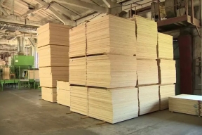 Россельхознадзор подтвердил высокое качество и безопасность березовой фанеры, экспортируемой Кировской областью в КНР