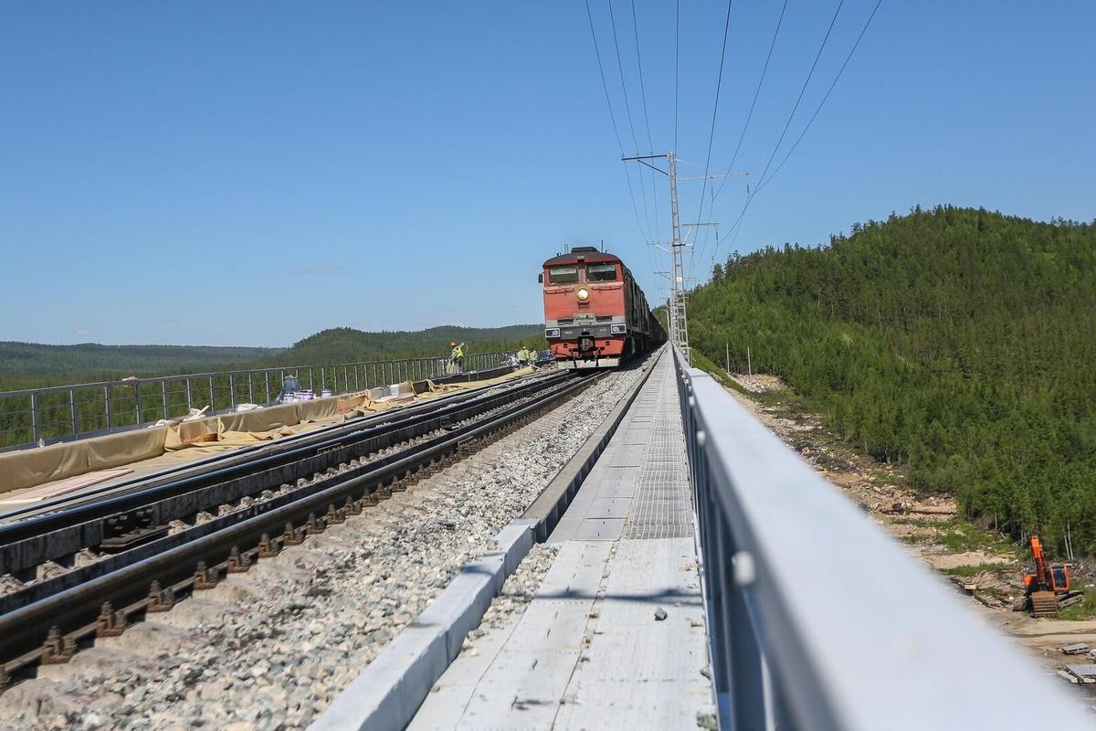 Несколько детей с поезда Тында — Кисловодск доставили в больницу Самары