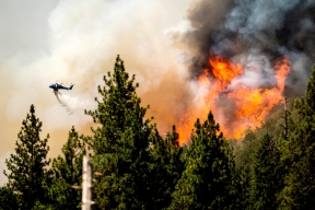 В Хакасии объявили пожароопасный сезон