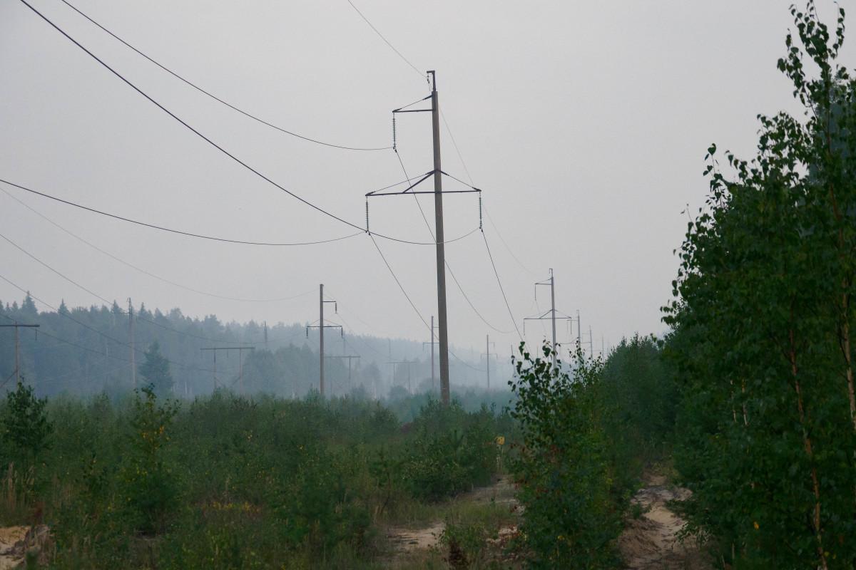 С 15 апреля в Татарстане собираются ввести пожароопасный режим