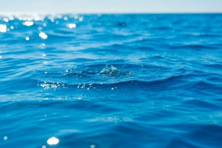 Вся ли вода святая на Крещение? Разъяснения священника развеивают заблуждения