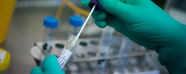 8,945 coronavirus cases detected in Russia over past day