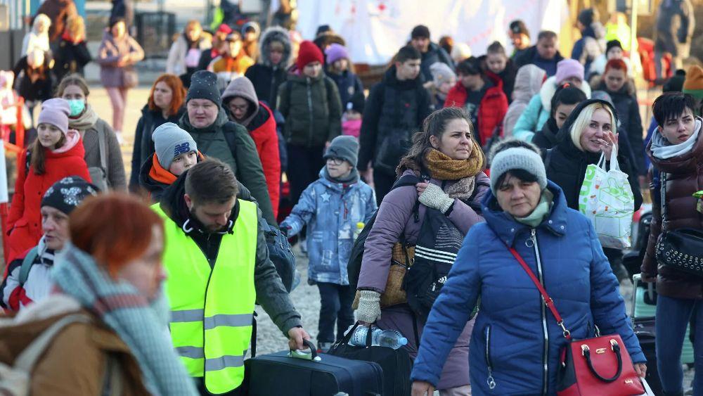 В Дании украинские беженцы рассказали о том, хотят ли возвращаться на родину