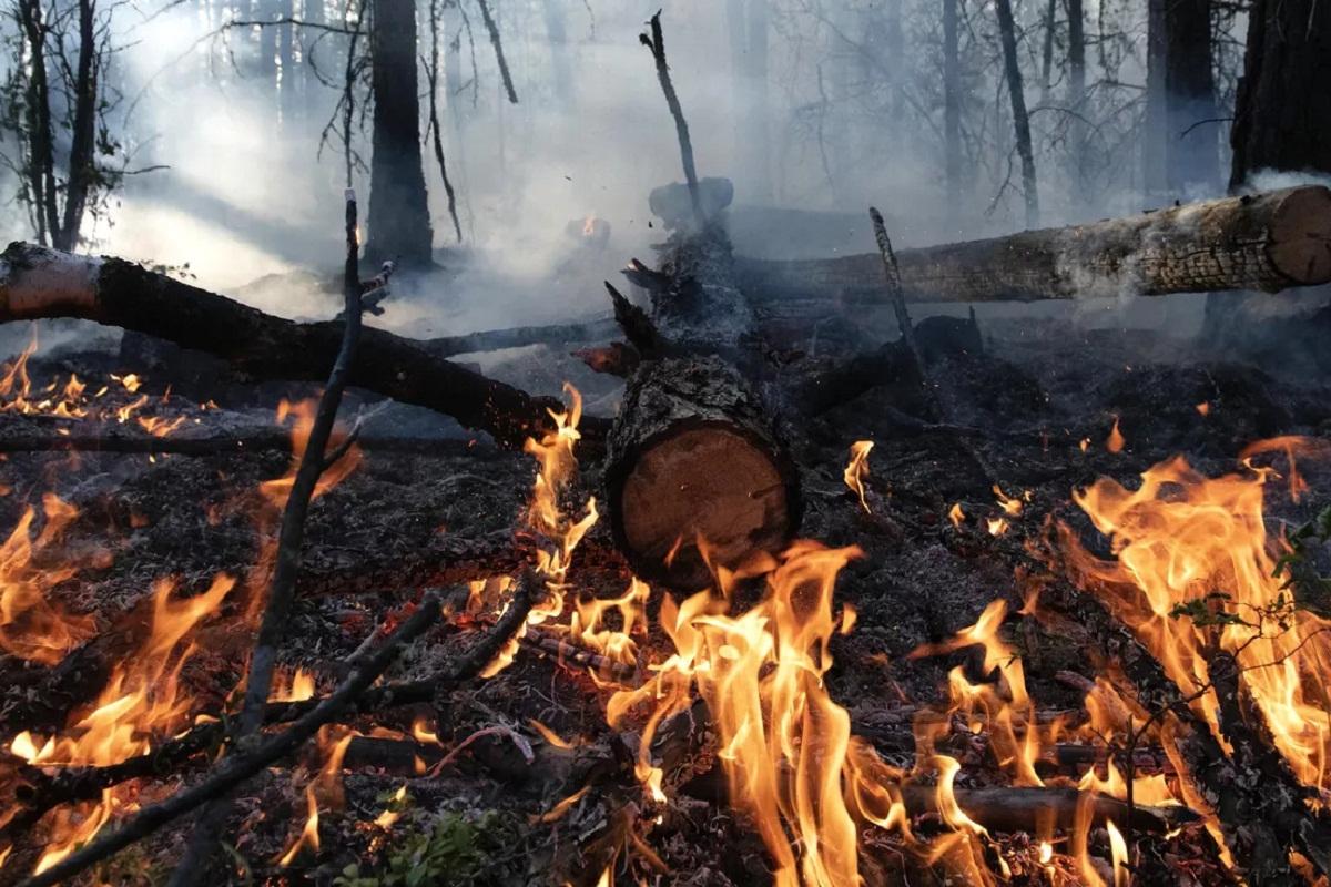 В Свердловской области начал действовать пожароопасный сезон