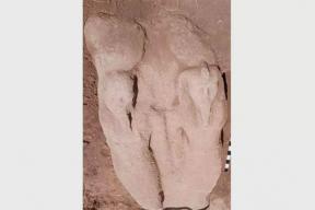 Гигант из дельты Нила: в Египте нашли 5-тонную статую Рамсеса II — и таких сотни по всей стране