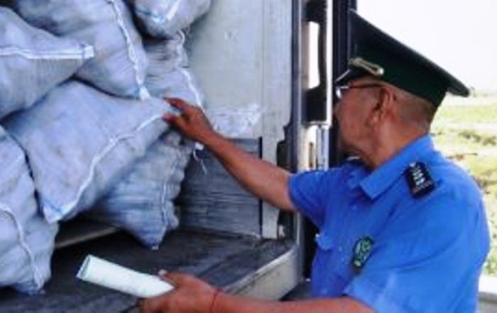 Под Астраханью задержали партии картофеля, капусты и дыни из Казахстана