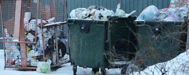 В Курганской области вырастет тариф на вывоз мусора