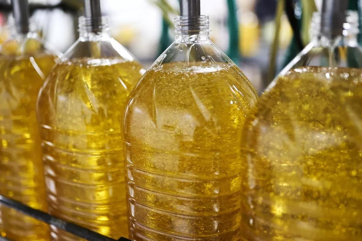В России снизилось производство подсолнечного масла