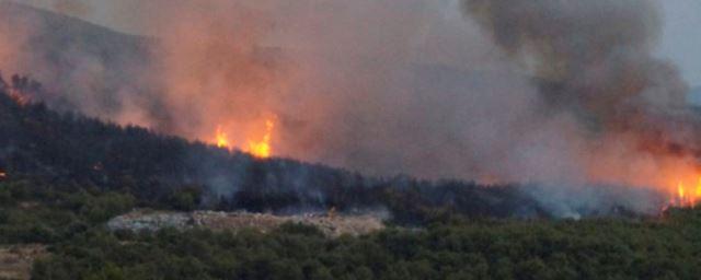 В Хорватии из-за лесных пожаров эвакуировали 800 туристов