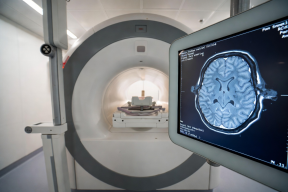 Ученые из Университета Флориды назвали привычки, замедляющие старение мозга