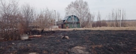 В Новосибирской области вновь участились ландшафтные пожары