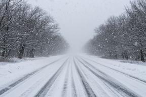 Самарским охотникам предлагают поучаствовать в отстреле лис за определенную плату