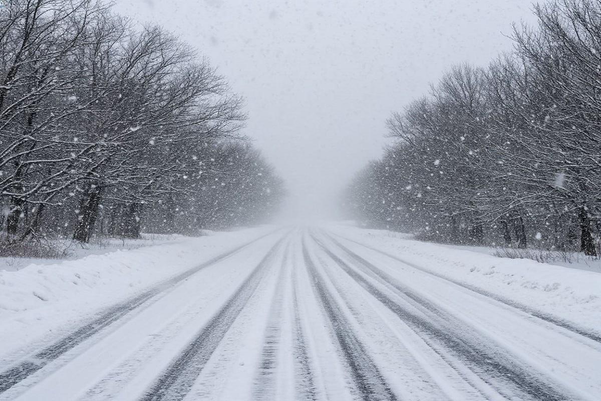 Самарским охотникам предлагают поучаствовать в отстреле лис за определенную плату