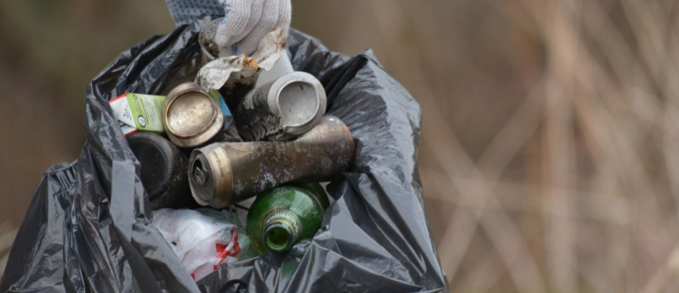 В деревне Тимонино Раменского г.о. обнаружили несанкционированную свалку