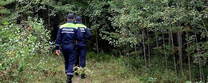 В Вологодской области до сих пор не нашли троих грибников, пропавших в сентябре