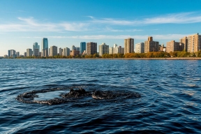«Черный дождь» и бензол в воздухе: экологическая цена атаки на Туапсе
