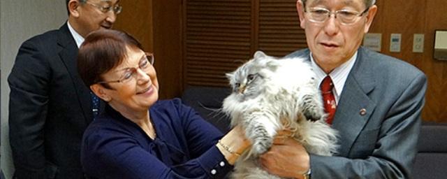 Японский губернатор рассказал о судьбе кота, которого подарил Путин