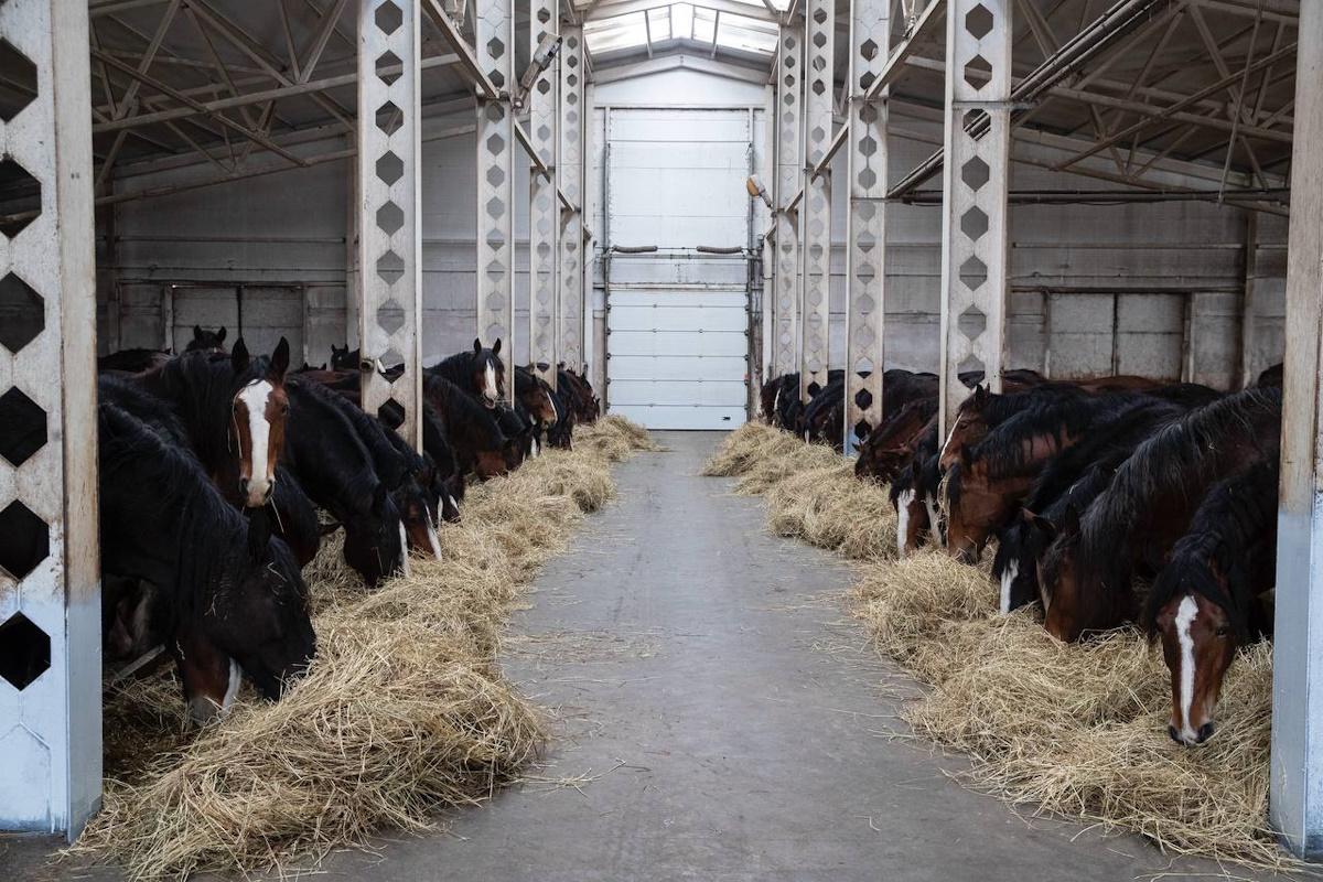В Ивановской области определены проекты по комплексному развитию сельских территорий в 2026 г.