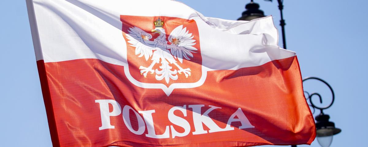 Myśl Polska: Польское общество готовят к войне с Россией