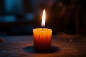 Останки красноармейцев и личные вещи нашли в воронке на месте боев в Тверской области