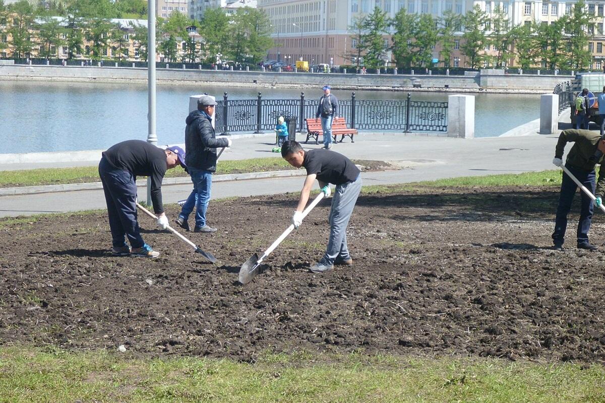 24 мигранта оштрафованы за незаконную работу в Липецкой области