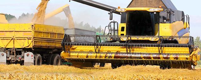 Минсельхоз РФ: в 2022 году урожай зерновых может превысить итоги прошлого года