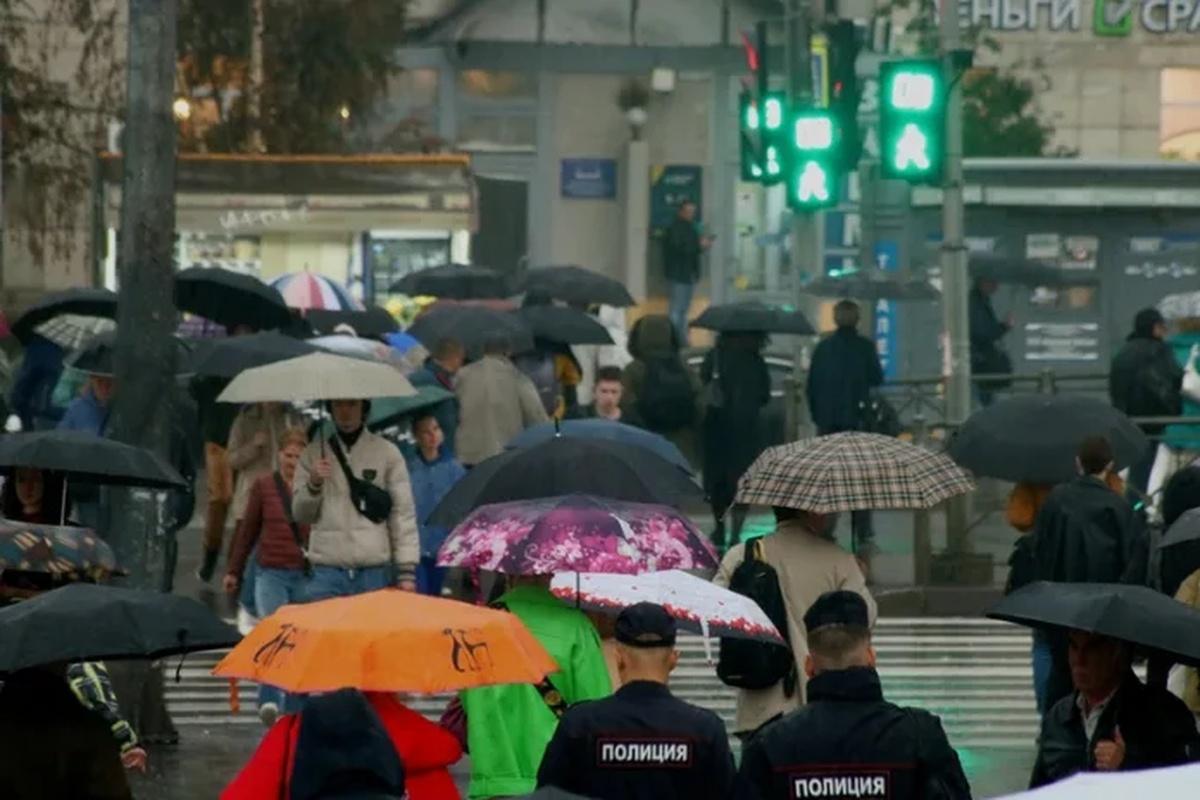Ливни с грозами и сильным ветром ожидаются в Пеетербурге