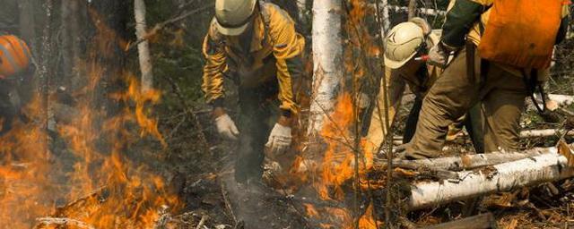 На Чукотке лесной пожар остановили вручную