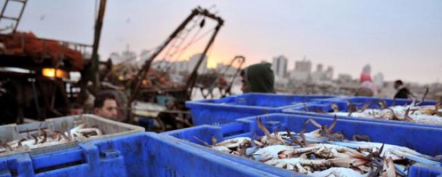 Россия осталась без главного импортера морепродуктов, потеряв в течение года $838 млн
