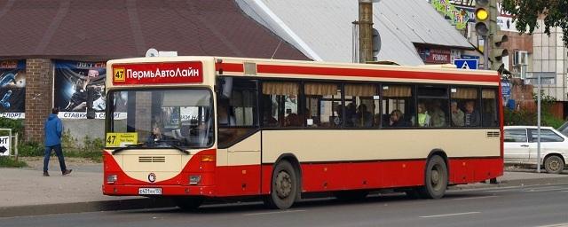 В Перми с 1 апреля увеличат количество автобусов на маршруте №47