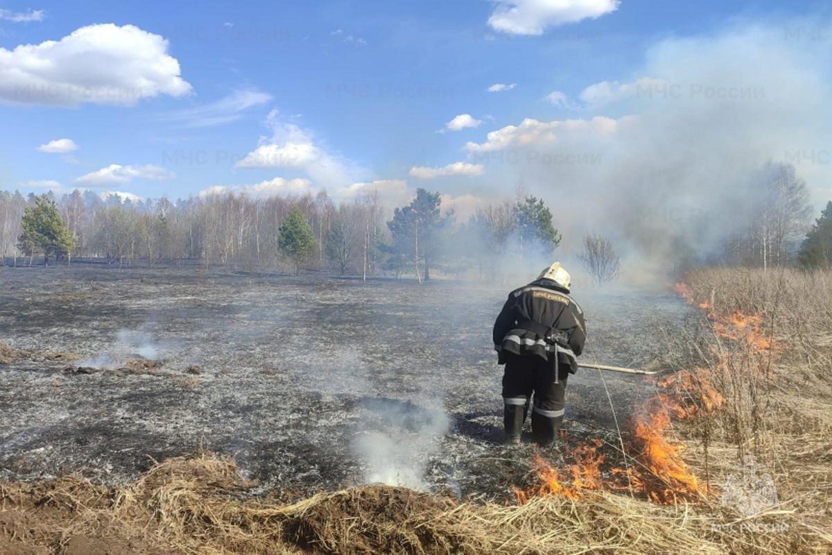 В Костромской области четыре человека заплатят штрафы за поджоги сухой травы