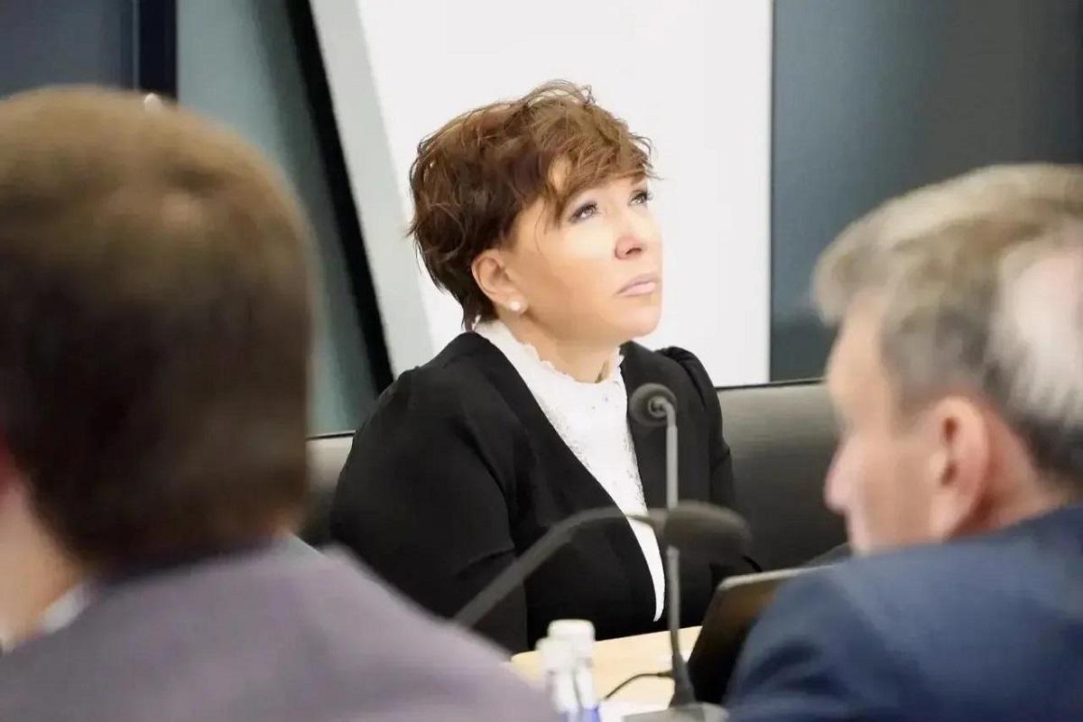 Сопредседатель ВАРМСУ Ирина Гусева приняла участие в заседании комиссии Госсовета по энергетике