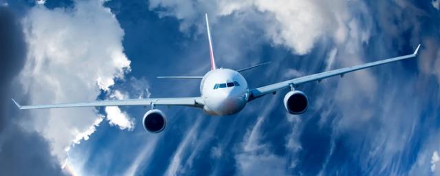 Турбизнес предложил правительству РФ отказаться от паритета в авиации