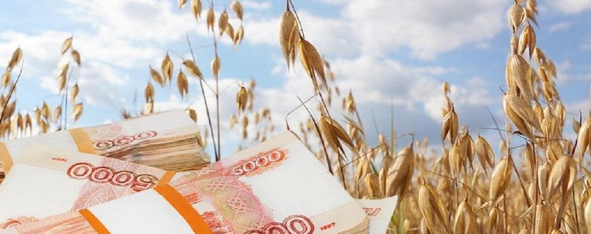 В НСО сельхозпредприятия могут вернуть до 70% затрат на модернизацию, первую выплату сделали в декабре 2023 года
