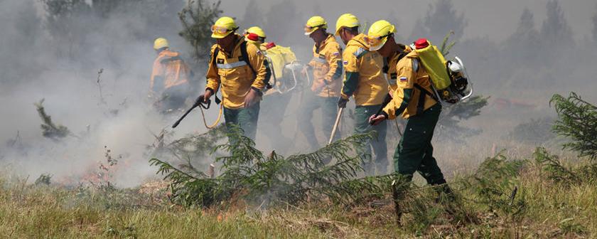 Новосибирских спасателей задействуют в борьбе с пожарами в Приангарье