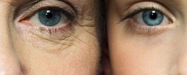 Американские ученые назвали три этапа старения