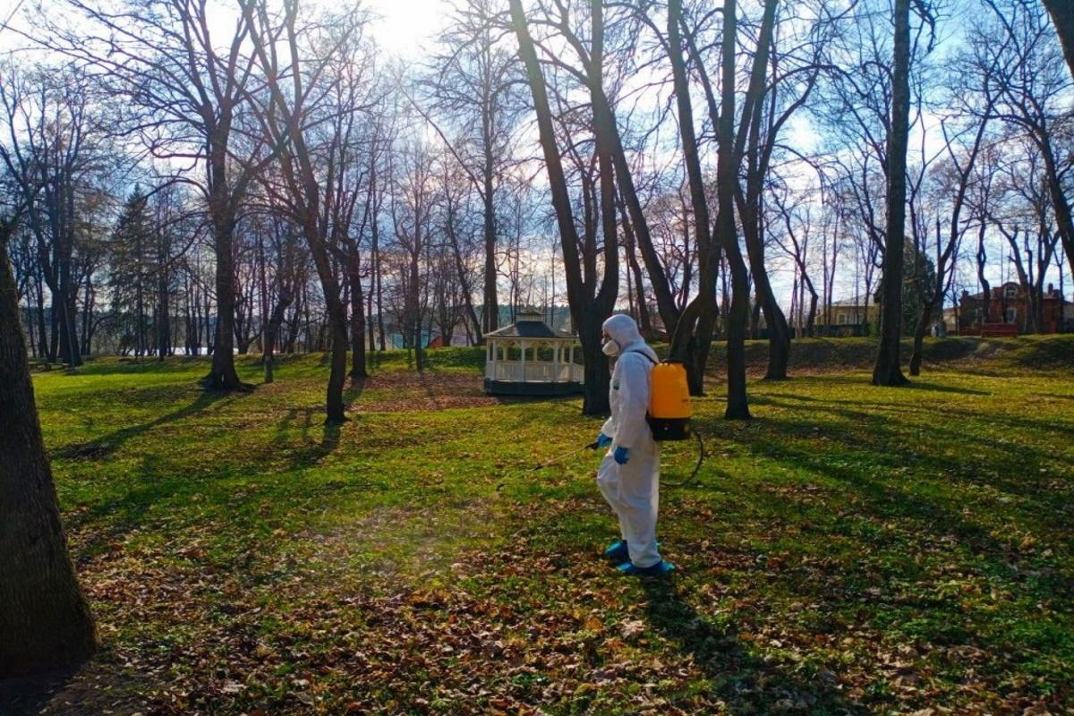 В Рязани выделили 390 тысяч рублей на обработку парков и скверов от клещей