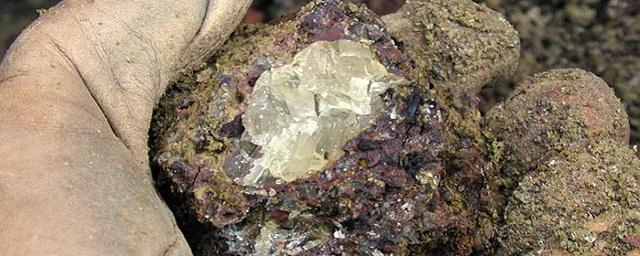 Австралийские ученые выяснили, что кимберлитовые извержения поднимают из недр Земли к поверхности алмазы