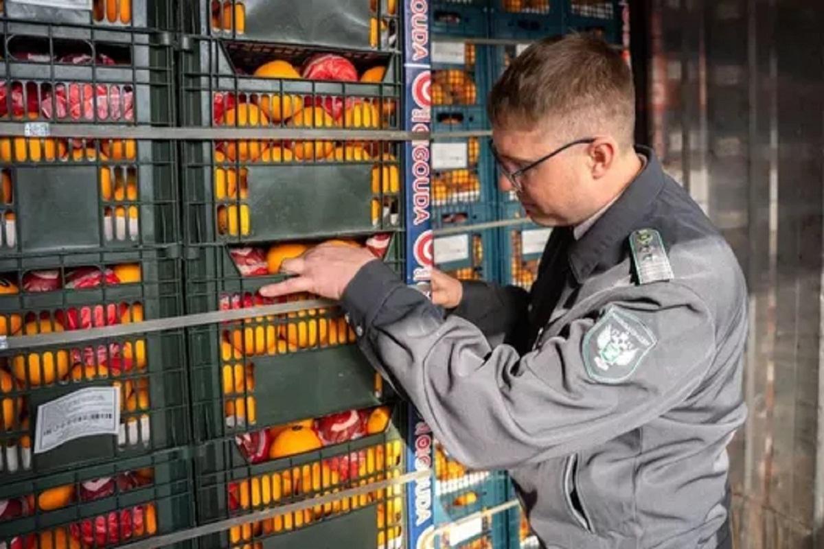 В Красноярске выявили более 40 тонн азиатских зараженных овощей и фруктов