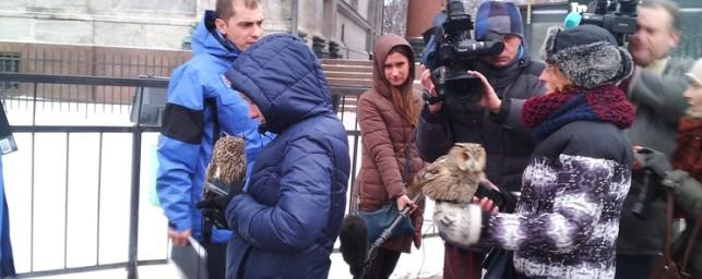 Спасенных у Исаакиевского собора сов откормят и вернут в дикую природу